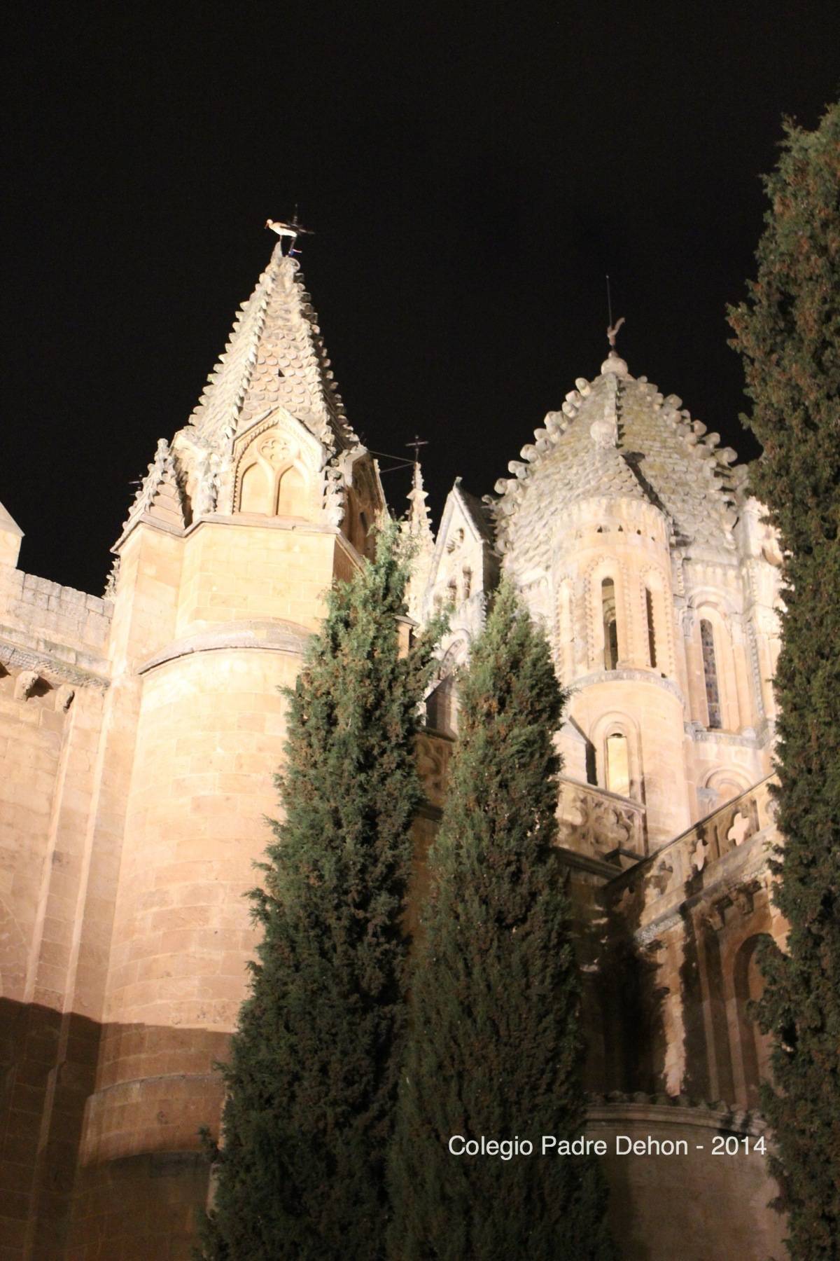 2013 03 20 SALAMANCA TORRE DEL GALLO (4)